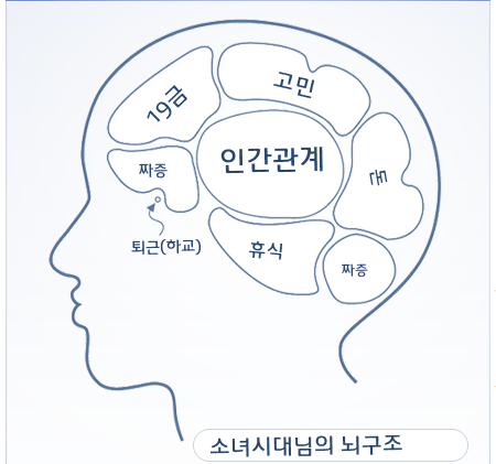 뇌구조테스트_뇌구조테스트하기!뇌구조테스트사이트)심심해닷컴