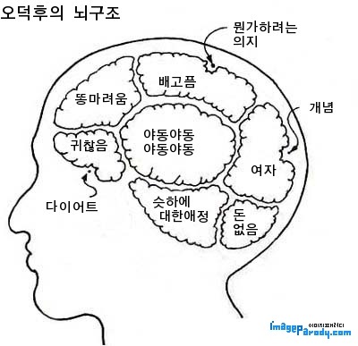 뇌구조 만들기