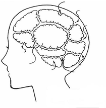 뇌구조 양식 | 뇌 그림, 그림, 캐릭터 일러스트