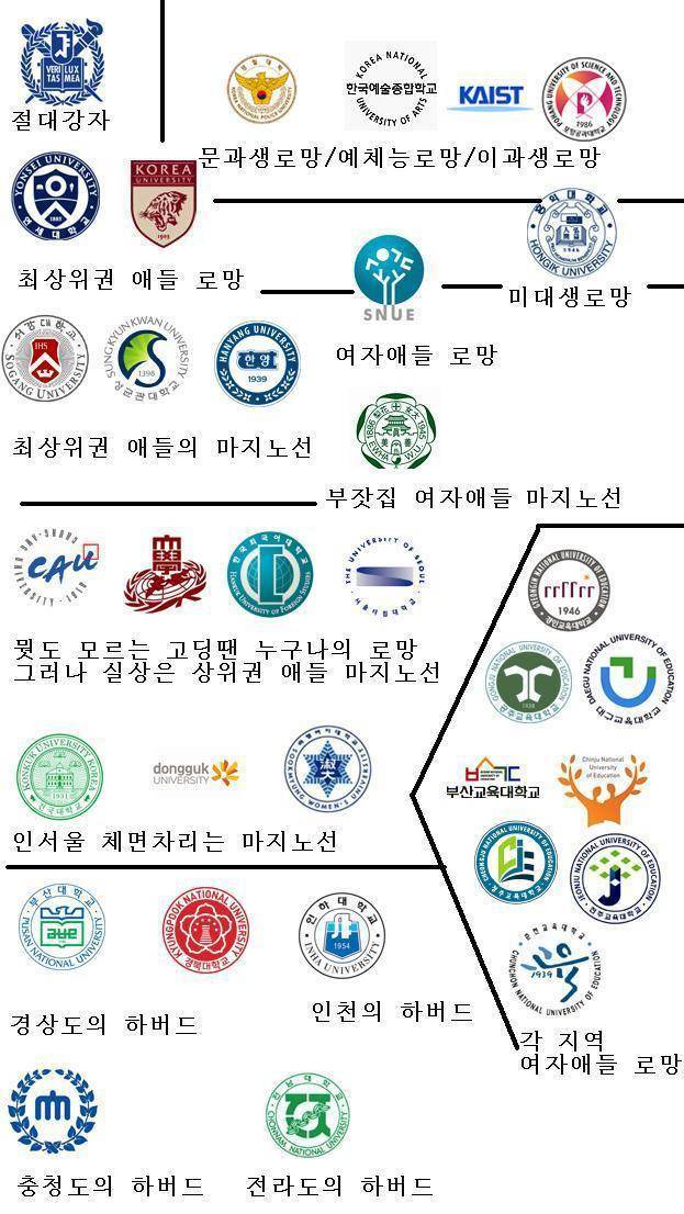 최근 가장 현실적이라는 대학 서열 - 오르비