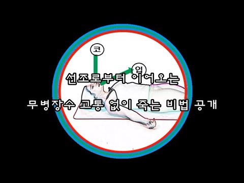 ▷고통 없이 죽는 호흡 비법 - Youtube