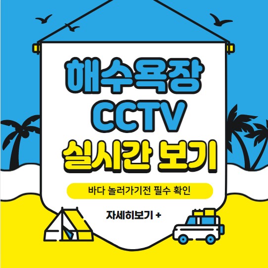 해수욕장 Cctv로 실시간 바다 영상 보기 - 코리아 토픽