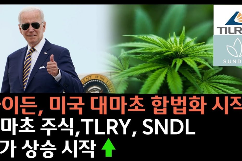 바이든, 미국 대마초 합법화 시작, 대마초 주식 주가 터지기 시작 🔥🚀 - Youtube