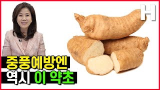 중풍에 좋은 음식 치매예방 뇌건강에 좋은 '천마' - Youtube