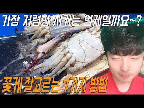 꽃게 잘고르는 7가지방법 - 가장 저렴한 시기는 언제일까요? (꿀팁대방출)