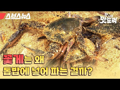 물에 사는 꽃게를 톱밥 속에 넣어서 파는 이유 [갓 나온 맛도리 EP.19] /스브스뉴스