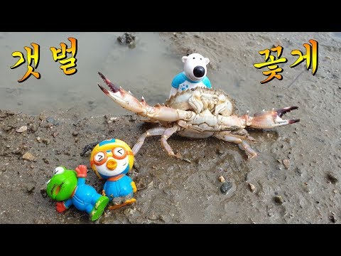 꽃게를 잡으러 갯벌체험을 간 뽀로로와 친구들! 엄청 따가운 공포의 집게발의 위력은? 대왕낙지 출몰지역  |꿈토이| 제40화