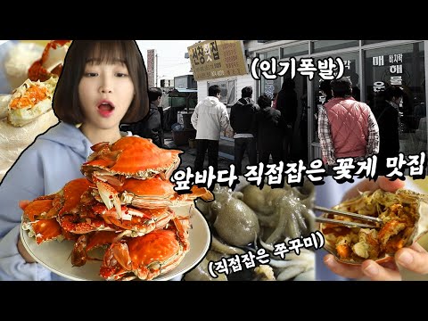 마검포항 30년 맛집! 영상보다가 못참고 쭈꾸미 꽃게 주문했어요..