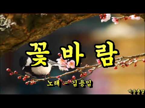 꽃바람   -  김용임