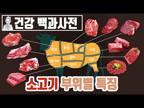 소고기 중 최애는 어디? 소고기 부위별 특징에 대해 알아보자 @SEMOJI