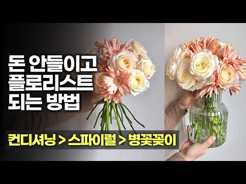 플로리스트 기본기 - 컨디셔닝 | 스파이럴 | 병꽃꽂이 한방에 배우기