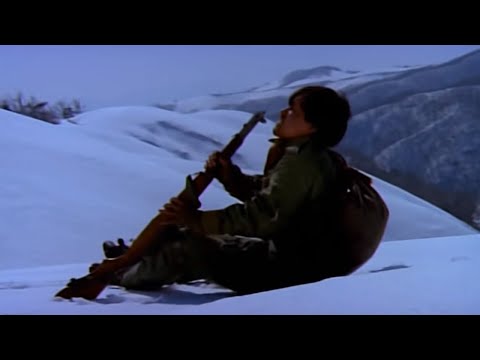 남부군(1990) / North Korean Partisan in South Korea (Nambugun)