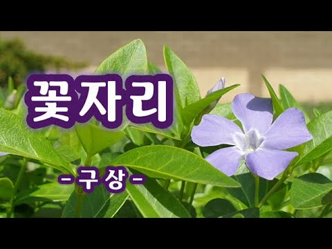 【시낭송】 꽃자리/구상