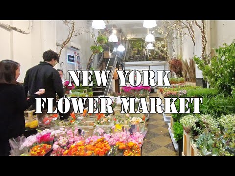 플로리스트 일상- 뉴욕 꽃시장, New York Flower Market