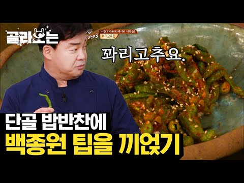 [#골라보는] 백종원 반찬 레시피 '꽈리고추찜' 🌶 새로운 밥 도둑의 등장으로 경찰서 비상!! | #집밥백선생 | #Diggle