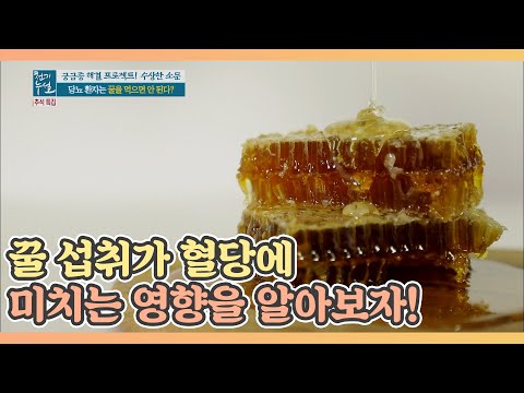 꿀 섭취가 혈당에 미치는 영향을 알아보자! MBN 201002 방송