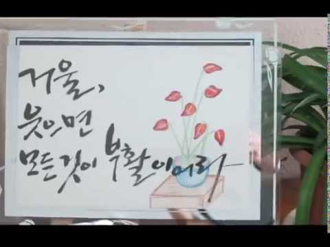 2014년 대수련 빨랑카 palanca