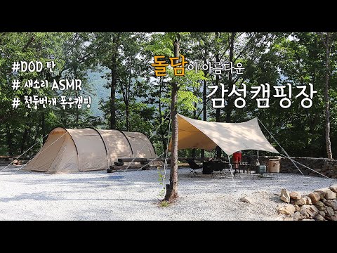 돌담뷰 감성캠핑장｜천둥번개 폭우캠핑｜새소리ASMR 자연힐링｜DOD가마보코3M 이츠카노타프 새장비 피칭