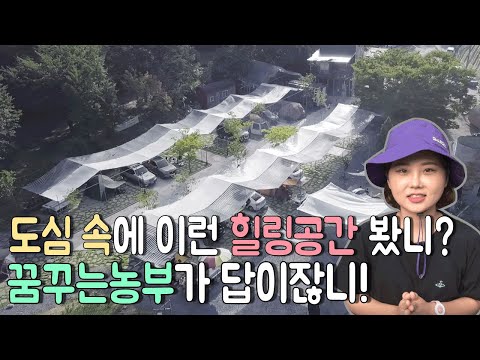 산림욕하러 멀리 갈 필요 없어요! 대전에 있는 꿈꾸는농부에서 편안하게 쉬다 왔습니다!