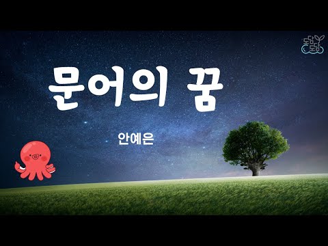 문어의꿈 - 안예은 (가사O)