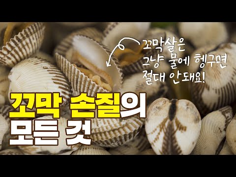 #꼬막해감 부터 비린내 없이 삶는 방법, 한 번에 꼬막 까는 법까지!｜에브리맘