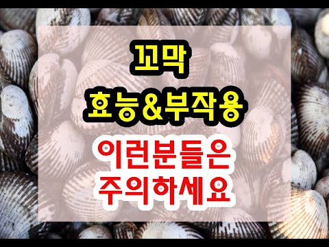 간기능에 좋은 꼬막 효능과 부작용 잘 알고 드셔야해요~