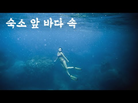 태국 여행.꼬따오 숙소 바로 앞에서 스노클링 가능한곳 소개해요.(코사무이에서 꼬따오 이동)montalay beach resort. snorkeling koh tao.thailand