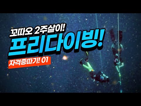 태국 꼬따오살이_02 프리다이빙 자격증따기! #01 (과연 딸수있을까 ㅠ) kho tao freediving PADI