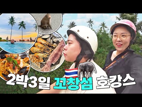 꼬창여행🇹🇭 태국 코끼리섬에서 7만원짜리 리조트 호캉스 즐기기💦 • 오토바이 • 해물 BBQ뷔페 • 개인수영장 • 산티야트리리조트 • 해물파스타 • 팟타이