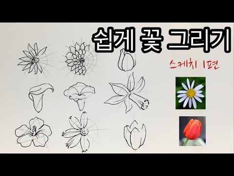 쉽게 꽃그리기 1편   /초보자를 위한 쉽게 꽃 스케치하는  방법  /  꽃 잘 그리기 /How to draw flowers