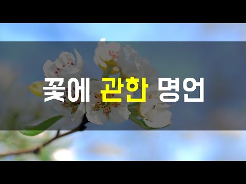 꽃에 관한 명언