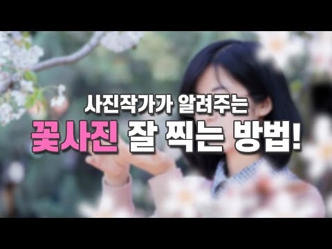 꽃보다 이성친구를 더 이쁘게 찍는 방법!  이거 보면 리얼 이쁨  받음! 경험담임..