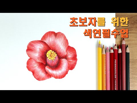 초보자를 위한 색연필 기법 / 꽃 그리기 / 꽃 채색방법