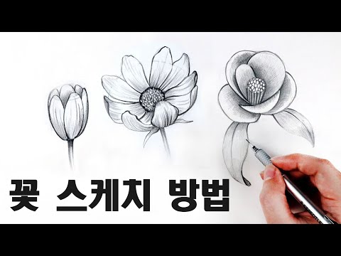 초보자를 위한 꽃 스케치 수업 / 꽃 잘 그리는 방법, 식물스케치 Draw flowers with a pencil