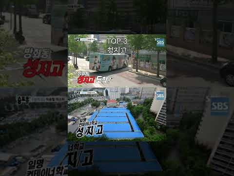 국내 양아치 고등학교 TOP 8