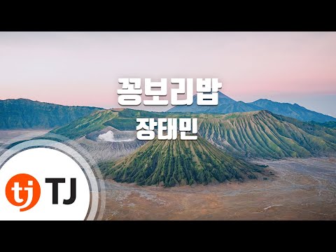 [TJ노래방] 꽁보리밥 - 장태민 / TJ Karaoke