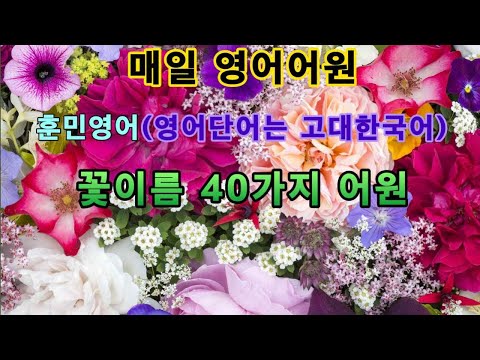 매일 영어어원/훈민영어(영어는 한글이다)/ 꽃이름 40가지 어원