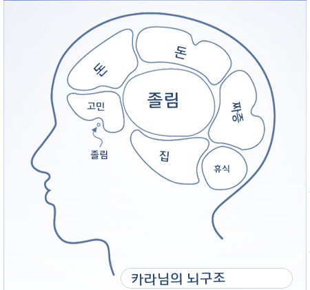 뇌구조테스트_뇌구조테스트하기!뇌구조테스트사이트)심심해닷컴