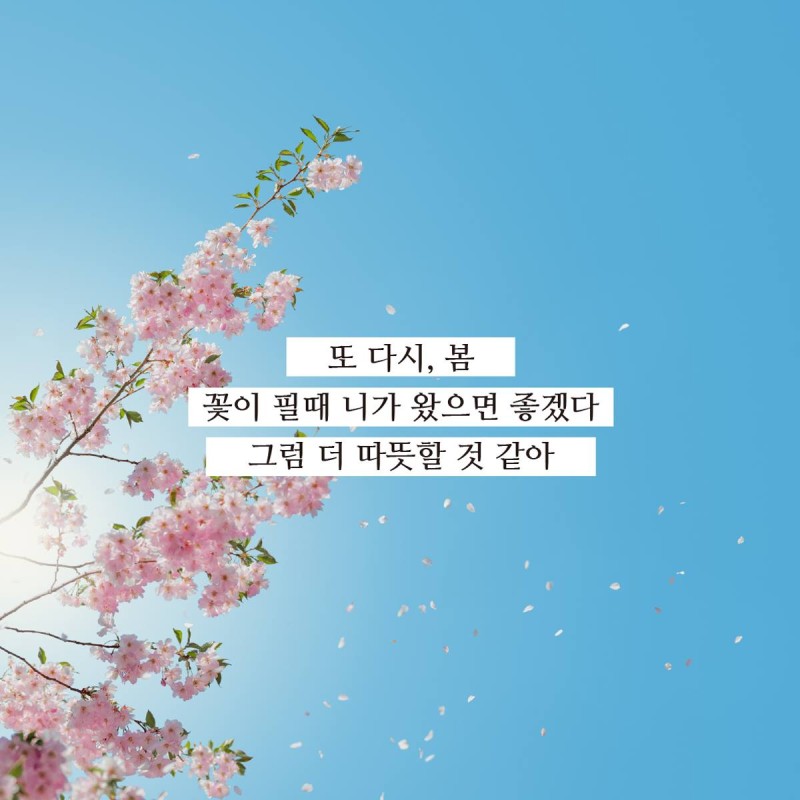 남자친구 편지에 쓰면 감성글, 예쁜말 여러가지 : 네이버 블로그