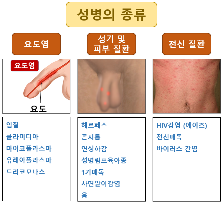 남자 무증상 성병 및 검사 : 네이버 블로그